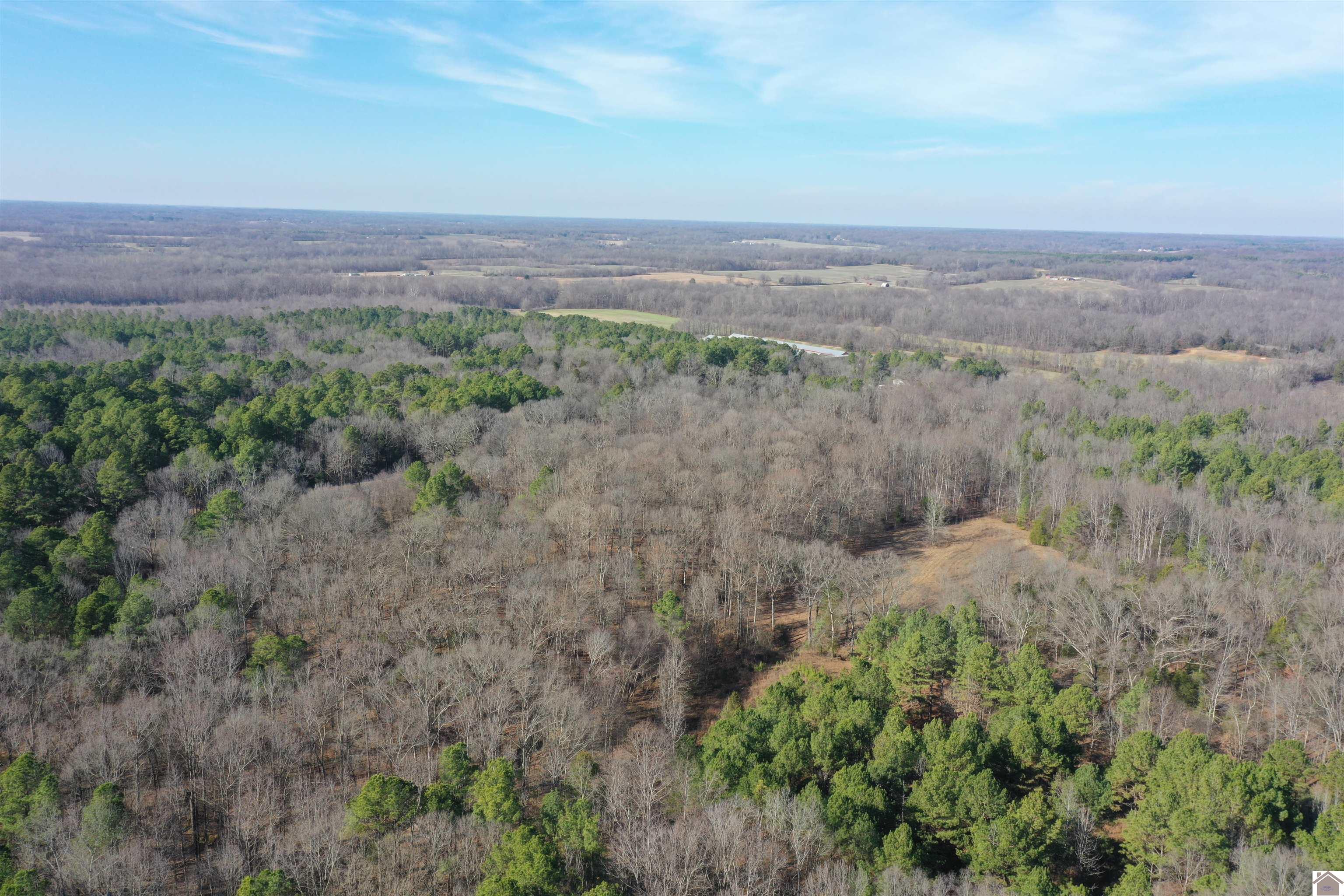 Austin Springs Rd, Dukedom, TN 38226 Listing Photo  9
