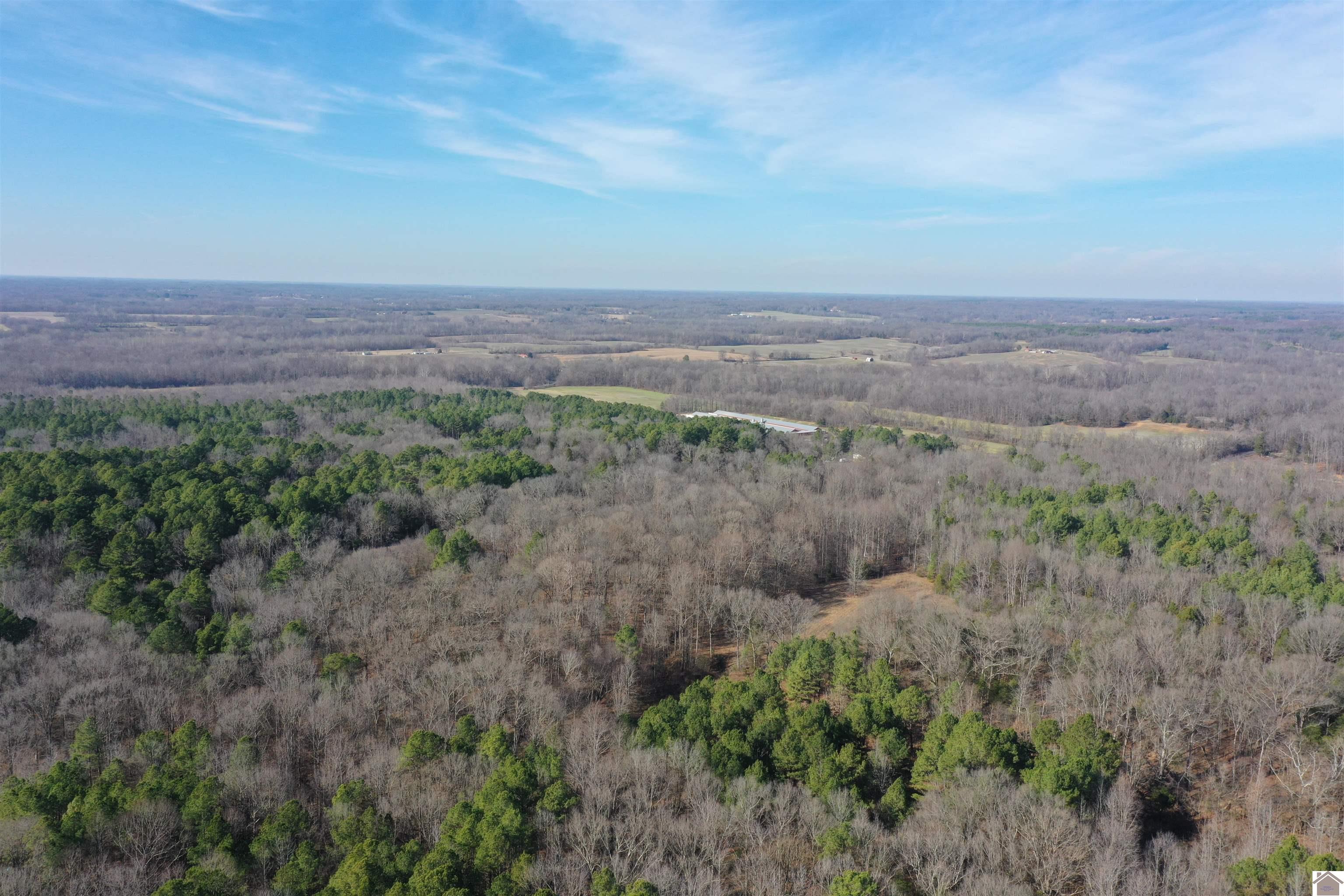 Austin Springs Rd, Dukedom, TN 38226 Listing Photo  10