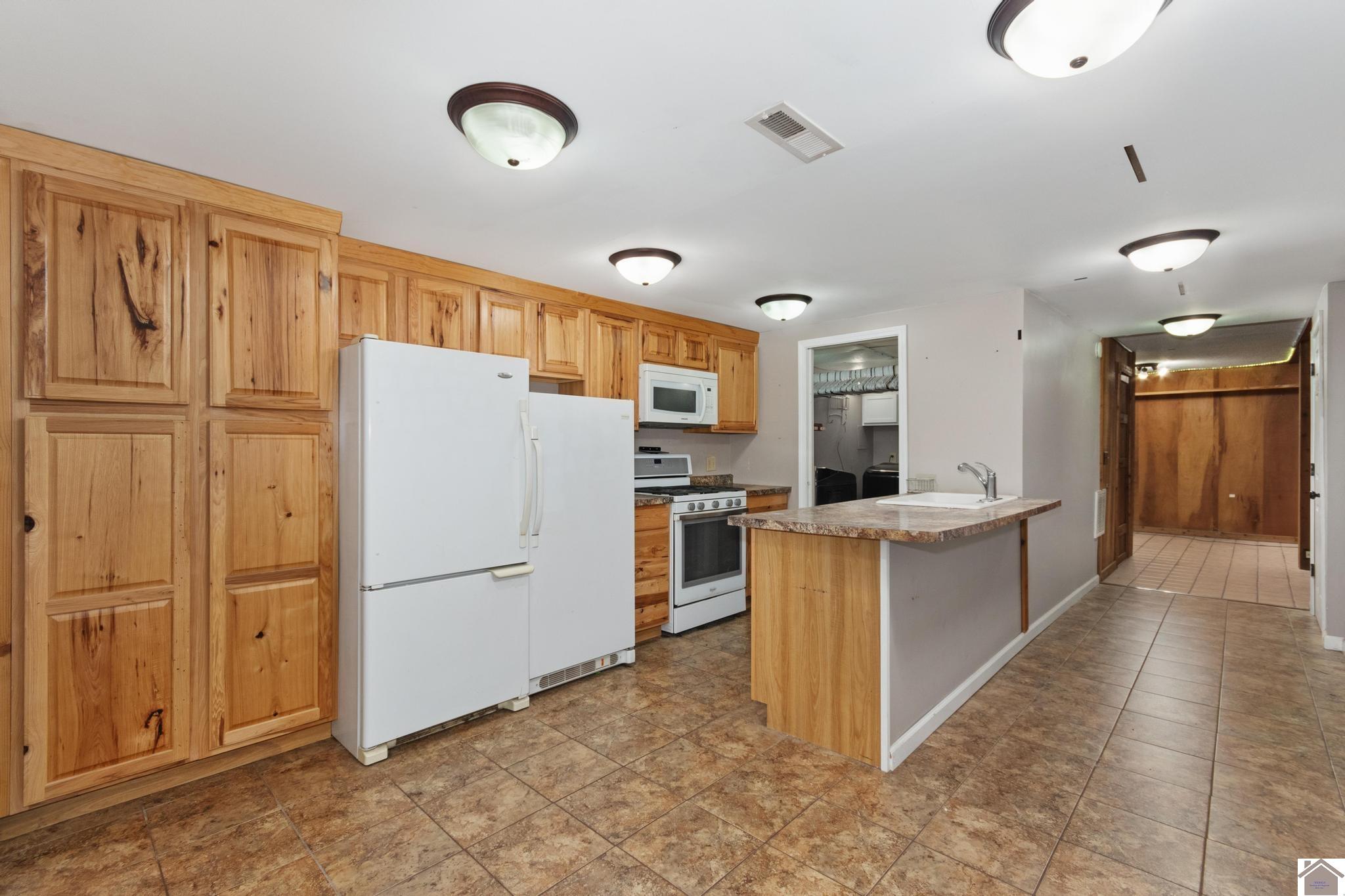 434 Bayshore Drive, Cadiz, KY 42211 Listing Photo  26