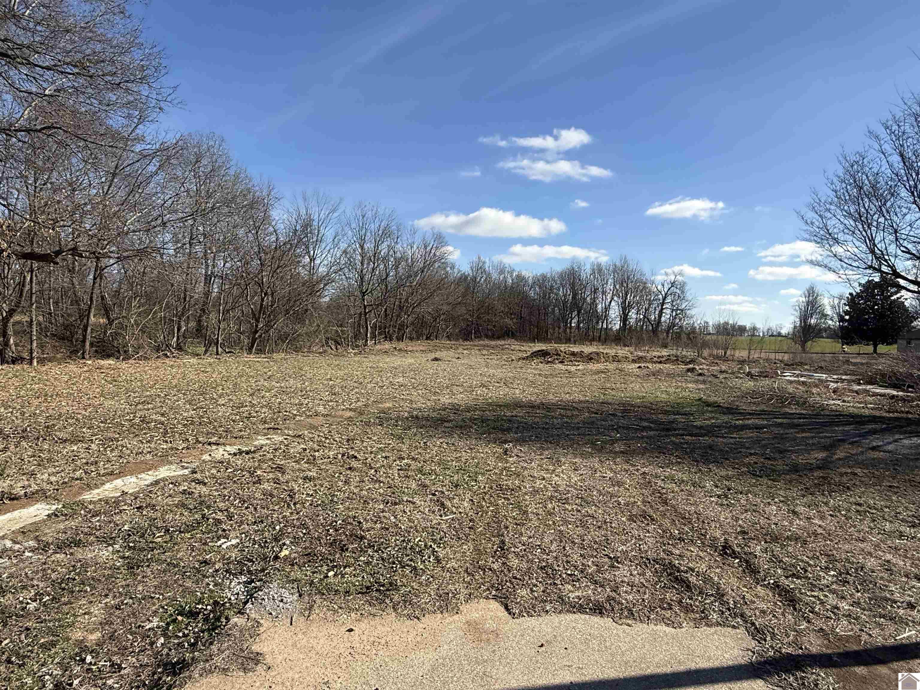 2842 ST RT 303, Mayfield, KY 42066 Listing Photo  2