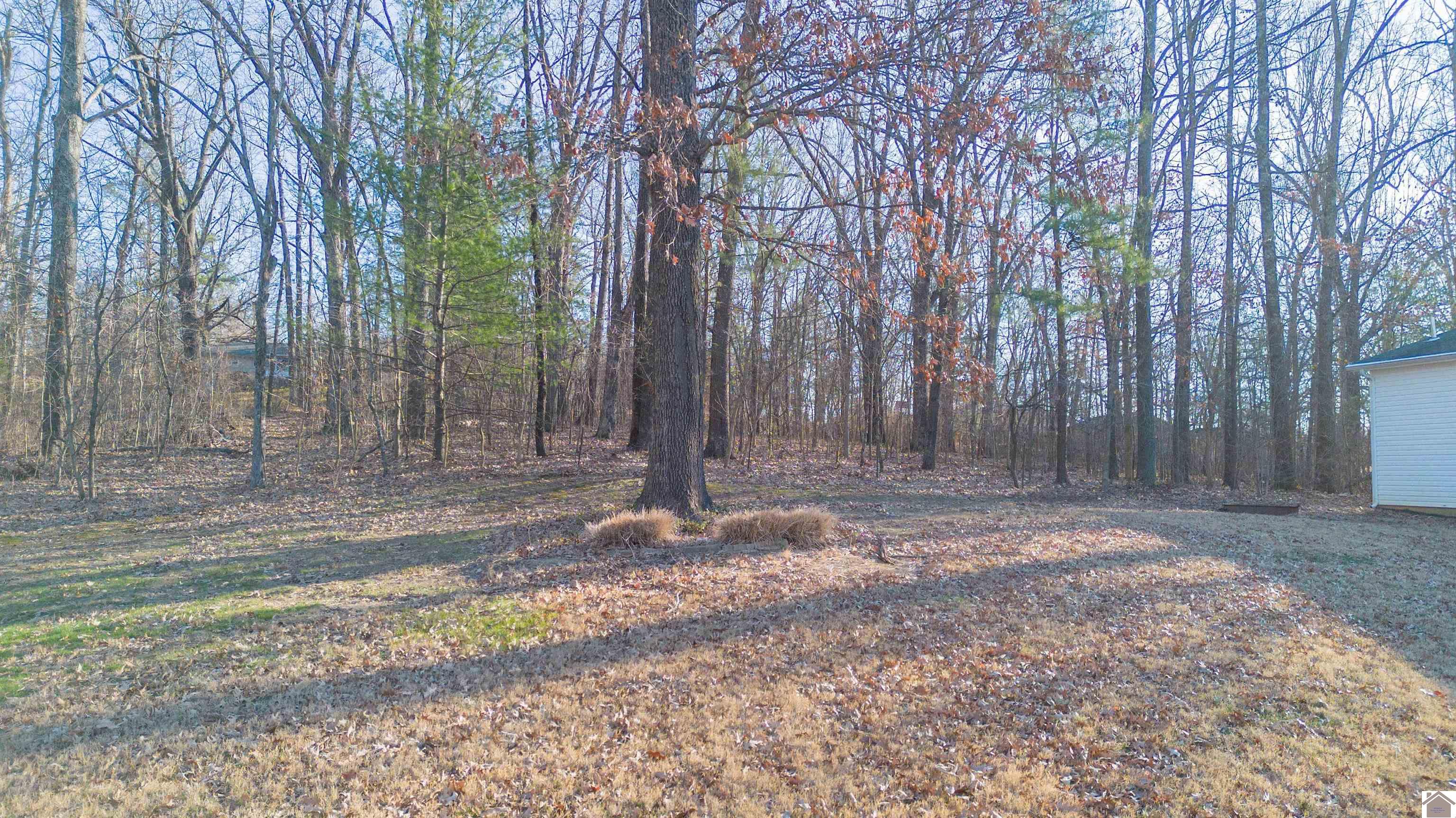 925 Wayside Dr, Paducah, KY 42003 Listing Photo  33