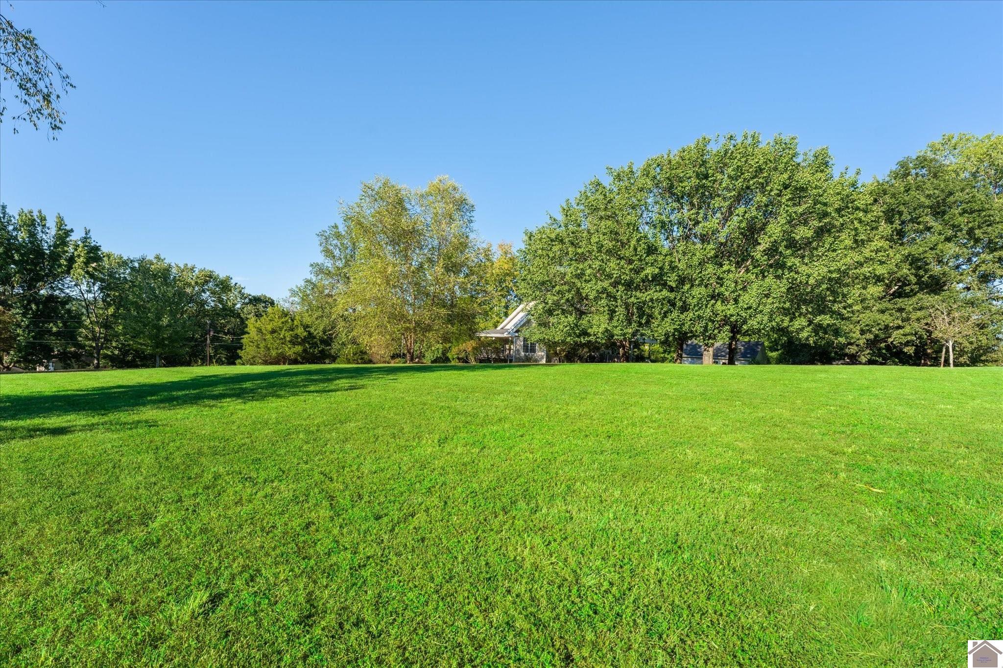 314 Bird Song Dr.,, Cadiz, KY 42211 Listing Photo  4