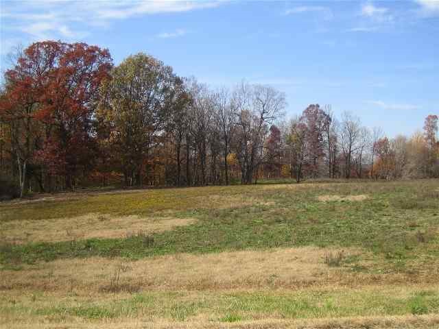 8A and 8B Nanney Neal Road, Hardin, KY 42048 Listing Photo  1