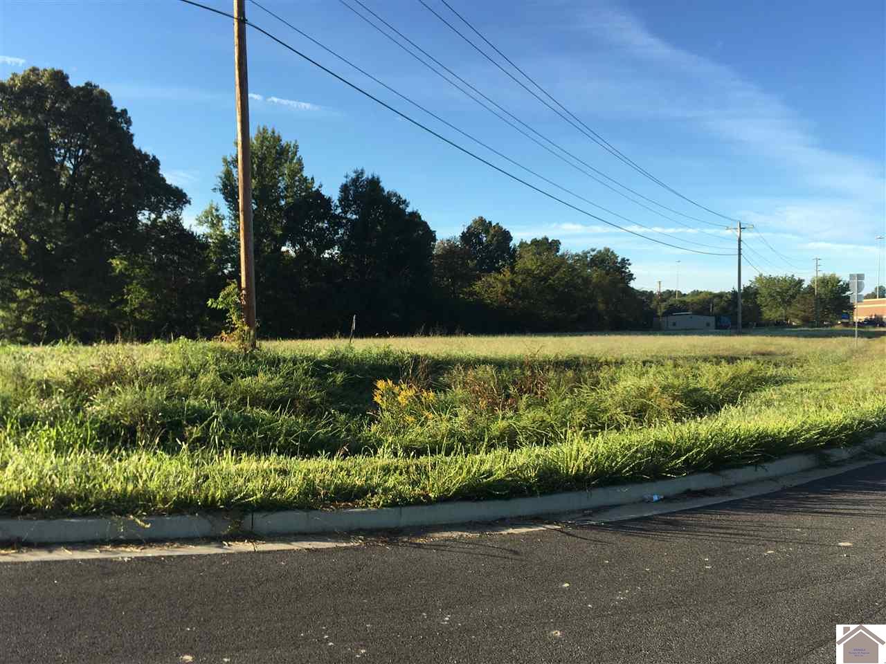 0000 Access Rd, Benton, KY 42025 Listing Photo  2